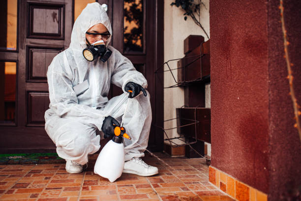 Reliable Bed Bug Control contractor in Nyack, NY by Nex Pest Control